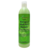 Moringa Black Seed Shampoo Moringa & Black Seed Shampoo by Mine Botanicals 13oz