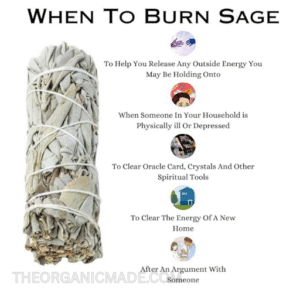 California White Sage Smudge Sticks/Wands 4 inch" House Cleansing Negativity Removal 5 California White Sage Smudge Sticks/Wands 4 inch" House Cleansing Negativity Removal - Image 3