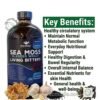 Marketing image for 'Mandingo' Sea Moss and Bladderwrack Living Bitters supplement. The central element is a large, dark glass bottle with a detailed blue label. To the right, a list of green bullet points highlights various health benefits under the title "RELIEF for :". At the bottom, raw natural ingredients including sea moss, garlic, and black seeds illustrate the natural components, with a watermark 'www.theorganicmade.com'. The overall style is professional and clean