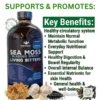 Marketing image for 'Mandingo' Sea Moss and Bladderwrack Living Bitters supplement. The central element is a large, dark glass bottle with a detailed blue label. To the right, a list of green bullet points highlights various health benefits under the title "RELIEF for :". At the bottom, raw natural ingredients including sea moss, garlic, and black seeds illustrate the natural components, with a watermark 'www.theorganicmade.com'. The overall style is professional and clean