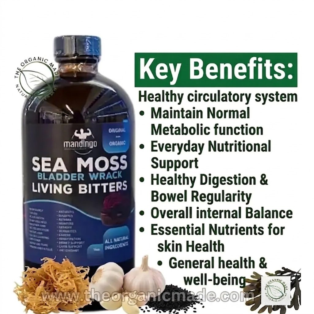 MANDINGO Sea Moss Bladderwrack Living Bitters 16oz. 1 Marketing image for 'Mandingo' Sea Moss and Bladderwrack Living Bitters supplement. The central element is a large, dark glass bottle with a detailed blue label. To the right, a list of green bullet points highlights various health benefits under the title "RELIEF for :". At the bottom, raw natural ingredients including sea moss, garlic, and black seeds illustrate the natural components, with a watermark 'www.theorganicmade.com'. The overall style is professional and clean
