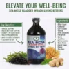A professional product advertisement infographic against a clean white background, showcasing a central amber glass bottle of 'AIH Sea Moss Bladder Wrack Living Bitters'. To the left of the bottle, a framed text box lists 'Key Benefits:' including Immune Support, Digestion & Gut Support, Energy & Vitality Boost, Healthy Radiant Skin, Joint & Muscle Comfort, and Full Body Detox. To the right of the bottle, a second framed text box lists 'Ingredients:' including Bitter Gourd, Cinnamon, Curry Leaves, Jasmine, Amla Gooseberry, Fenugreek, Garlic, Aloe Vera, Mango Leaves, Black Seeds, Fennel Seeds, Ginger, and Sea Moss. In the foreground, raw ingredients are arranged, including a large clump of dark purple sea moss on the bottle label, raw golden sea moss clumps to the right, fresh ginger rhizome, a sprig of fresh mint, and dark leafy herbs on the left. The top header reads "ELEVATE YOUR WELL-BEING" and "SEA MOSS BLADDER WRACK LIVING BITTERS".