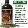 A professional product shot of Botanical Fibroid & Lupus Balance Care Tonic in an amber glass bottle. The label highlights ingredients like Magnesium, Lion’s Mane, French Tarragon, Linseed, and Green Tea. To the right, a "RELIEF FOR" checklist includes inhibiting tumor growth, slowing fibroid growth, sexual support, and anti-inflammatory benefits. The image features fresh green herbs and seeds at the base with the brand URL www.theorganicmade.com.