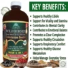 Wild Horned: A professional product photograph of a dark amber glass bottle labelled "Wild Horney Testosterone Booster" by Essential Palace and The Organic Made. The dark label features Goji Berries, Horny Goat Weed, Yohimbi Bark, Shilajit, and Mucuna Extract. To the right is a prominent green panel with a large white headline "RELIEF FOR:" followed by a bulleted list of ten diverse male health benefits, including Libido, Testosterone Boosting, Energy & Stamina, Mental Well-Being, and Stress & Anxiety relief. At the bottom, five bowls of raw ingredients—tar-like Shilajit, dried Goji Berries,