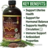 A professional product shot of Botanical Fibroid & Lupus Balance Care Tonic in an amber glass bottle. The label highlights ingredients like Magnesium, Lion’s Mane, French Tarragon, Linseed, and Green Tea. To the right, a "RELIEF FOR" checklist includes inhibiting tumor growth, slowing fibroid growth, sexual support, and anti-inflammatory benefits. The image features fresh green herbs and seeds at the base with the brand URL www.theorganicmade.com.