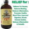 Health supplement for digestive relief, ginger living bitter 16oz, Herbal Digestive and Wellness Tonic