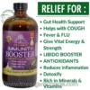 Immunity Booster Living Bitters with Black Elderberry by Essentials palace - 16 Oz 3 A detailed product photograph and marketing graphic featuring a large amber glass bottle of Essential Palace Organic Immunity Booster living bitters with blacl elderberry 16oz. The product label is rich purple and gold, detailed with illustrations of clusters of Black Elderberry and green leaves. The label text prominently states "Essential Palace ORGANIC IMMUNITY BOOSTER" in large white and gold letters, with "with Black Elderberry, Echinacea & Thyme" specified below. Three key benefit statements—"Helps with Cough", "Helps with Fever", and "Helps with Flu"—are listed above "VITAL ENERGY & STRENGTH". Two trust badges ("Essential Blessing" and "100% SATISFACTION") are prominent. To the right of the bottle, against a stark white background with a green header banner reading "RELIEF FOR:", is a bold, multi-point bulleted list of 9 health benefits: "Gut Health Support", "Helps with COUGH", "Fever & FLU", "Give Vital Energy & Strength", "LIBIDO BOOSTER", "ANTIOXIDANTS", "Reduces inflammation", "Detoxify", and "Rich in Minerals & Vitamins". The top-left corner features "THE ORGANIC MADE: NATURAL & HEALTHY" circular seal. The bottom center displays the website URL "www.theorganicmade.com" in grey text.