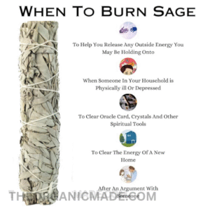 California White Sage Smudge Sticks/Wands 8 inch" House Cleansing Negativity Removal 5 California White Sage Smudge Sticks/Wands 8 inch" House Cleansing Negativity Removal - Image 3