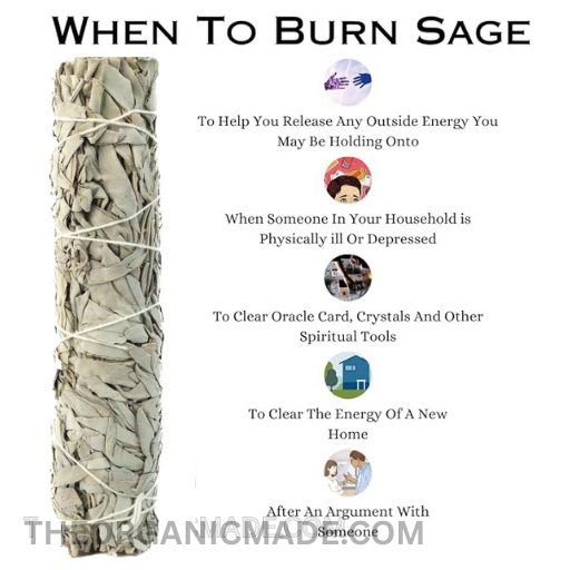 California White Sage Smudge Sticks/Wands 8 inch" House Cleansing Negativity Removal 3 California White Sage Smudge Sticks/Wands 8 inch" House Cleansing Negativity Removal - Image 3