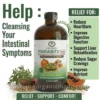 A bottle of Detoxherbs Organic Parasite Formula with Wormwood (Artemisia absinthium) surrounded by its key natural ingredients: papaya fruit with seeds, a whole pumpkin, and bowls of green pumpkin seeds, set on a white surface with green text.