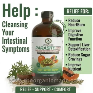 A bottle of Detoxherbs Organic Parasite Formula with Wormwood (Artemisia absinthium) surrounded by its key natural ingredients: papaya fruit with seeds, a whole pumpkin, and bowls of green pumpkin seeds, set on a white surface with green text.