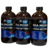 MANDINGO Sea Moss Bladderwrack Living Bitters - African Herbs And Roots 16oz (Pack of 3) 2 bundles of three bottles of mandingo sea moss bladderwrack living bitter, health supplement wholesale