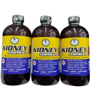 A trio of three amber glass bottles, with black caps, containing a dark-colored herbal liquid kidney formula, against a plain white background. The labels are primarily orange and feature the "AIH" brand logo, text "KIDNEY FORMULA" in bold, and a bulleted list of potential health benefits and ingredients, including "ORGANIC," "VEGAN," and "PLANT-BASED." Two stylized red kidneys are pictured on the label.