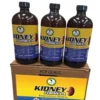 Kidney Cleanse Bitters 16 oz - Wholesale 3 Kidney cleanse Bitters, A trio of three amber glass bottles, with black caps, containing a dark-colored herbal liquid kidney formula, against a plain white background. The labels are primarily orange and feature the "AIH" brand logo, text "KIDNEY FORMULA" in bold, and a bulleted list of potential health benefits and ingredients, including "ORGANIC," "VEGAN," and "PLANT-BASED." Two stylized red kidneys are pictured on the label.