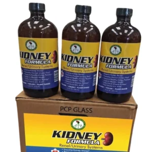 Kidney cleanse Bitters, A trio of three amber glass bottles, with black caps, containing a dark-colored herbal liquid kidney formula, against a plain white background. The labels are primarily orange and feature the "AIH" brand logo, text "KIDNEY FORMULA" in bold, and a bulleted list of potential health benefits and ingredients, including "ORGANIC," "VEGAN," and "PLANT-BASED." Two stylized red kidneys are pictured on the label.