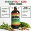 A central glass bottle of Moringa Living Bitters is positioned above a light wood table, flanked by two text boxes. The left box, titled 'KEY BENEFITS', lists bullet points: 'Support Detoxification', 'Boost Energy', 'Anti-inflammatory', and 'Rich in Antioxidants'. The right box, titled 'NATURAL INGREDIENTS', lists: 'Natural Moringa', 'Bitter Gourd', 'Cinnamon', 'Garlic', 'Blackseed', and 'Dandelion'. Red arrows curve inward, pointing to the bottle. Raw ingredients are arranged around the base: a large cluster of fresh dandelion greens and roots, two whole bitter gourd vegetables, and cinnamon sticks. The top green banner reads 'REVITALIZE YOUR WELLNESS', followed by 'MORINGA LIVING BITTERS:' in red, and 'DETOX & ENERGY BEVERAGE' in green. A dark footer bar displays 'FUEL YOUR BODY • LIVE VIBRANTLY'.
