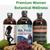 Sea Moss Bladder Wrack, Soursop Bitters, Women Wellness 16oz 8 A professional product photograph against a clean white background, showcasing three dark amber glass bottles. On the left is 'Women Wellness Living Bitters' with a silhouette of a woman. The central and tallest bottle is 'Sea Moss Bladder Wrack Living Bitters' with purple sea moss graphics. On the right is 'Soursop Bitters'. In the foreground, raw ingredients are arranged, including a green soursop fruit, a large cluster of fresh purple 'A grade Sea Moss', whole ginger rhizomes, and botanical accents.