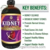 Kidney Cleanse formula Bitters AL RIYAN - 16 oz