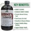 Kidney Cleanse Bitters by AHS - 16 oz,